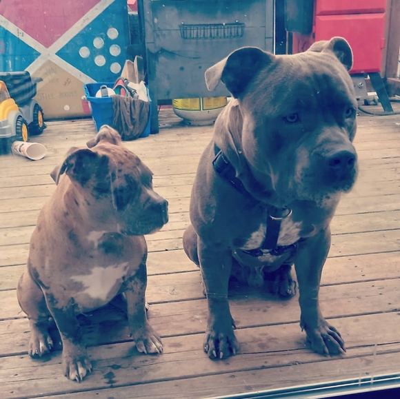 Meet your Posher, Jesisthabest - Picture 11 of 12